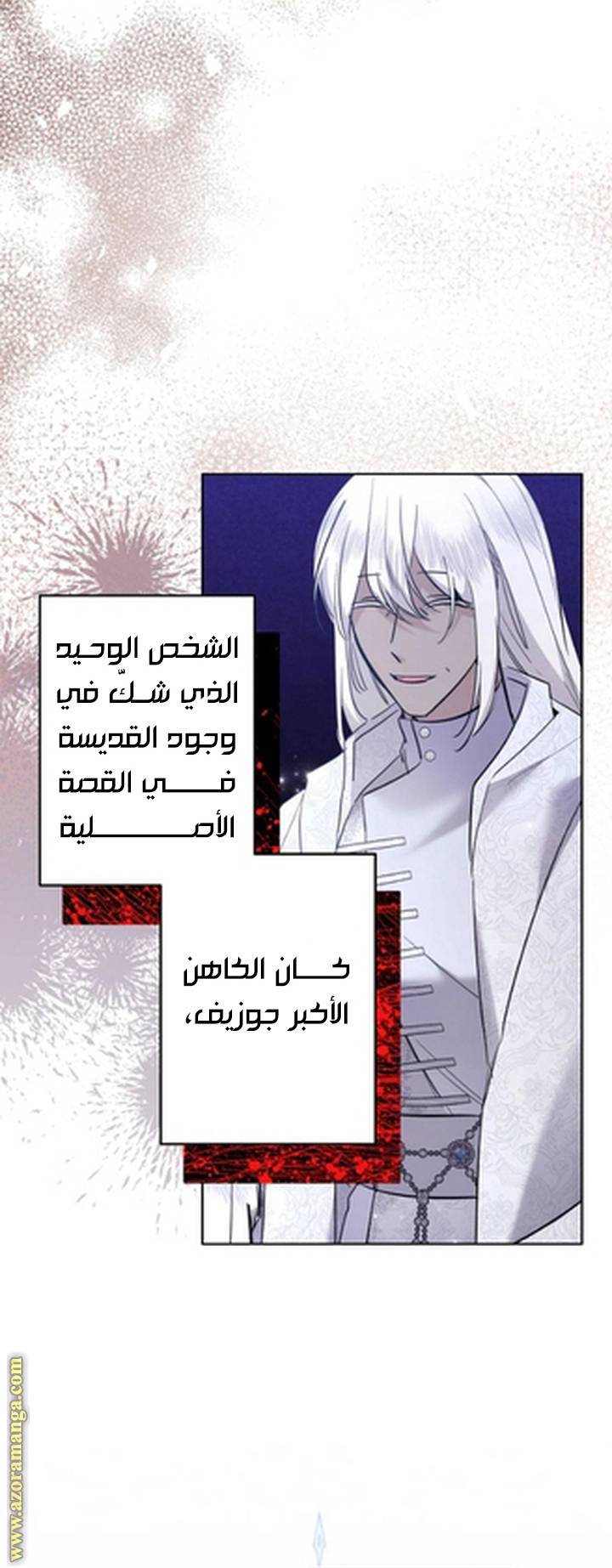 الصفحة 17