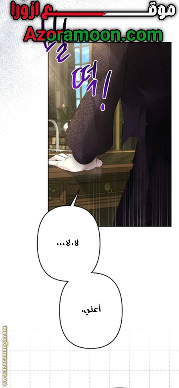 الصفحة 41