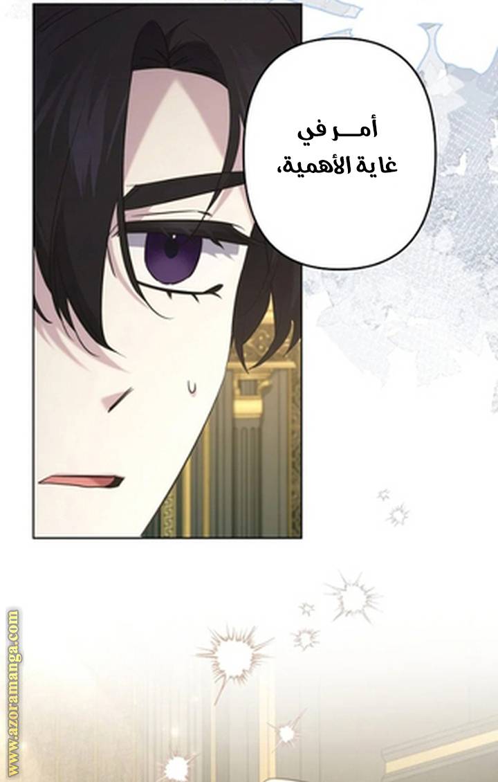 الصفحة 51