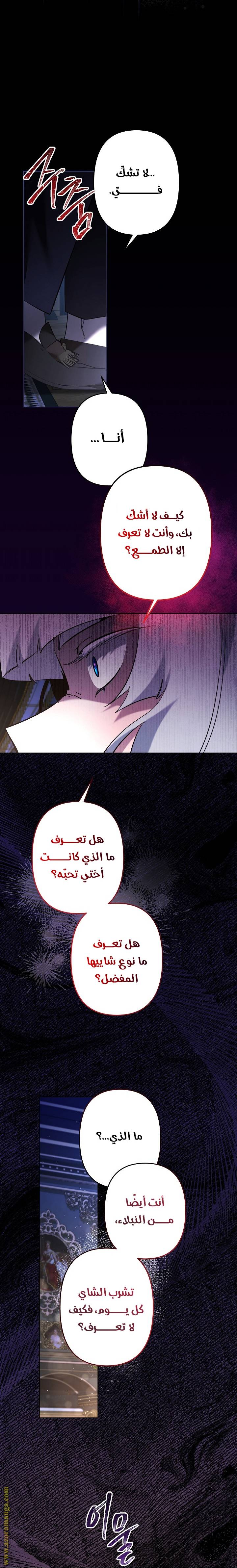 الصفحة 27