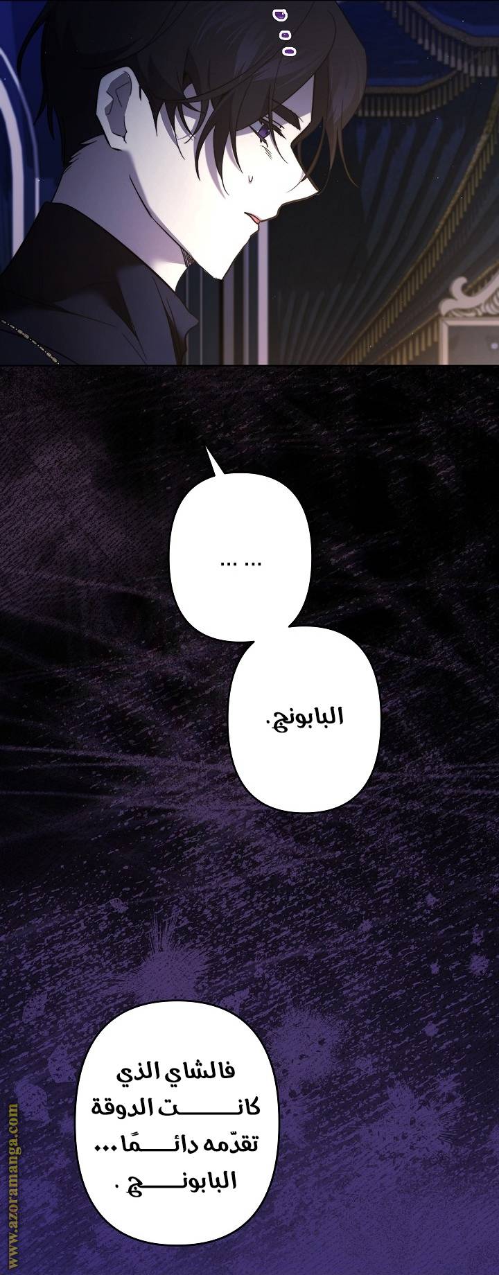 الصفحة 28