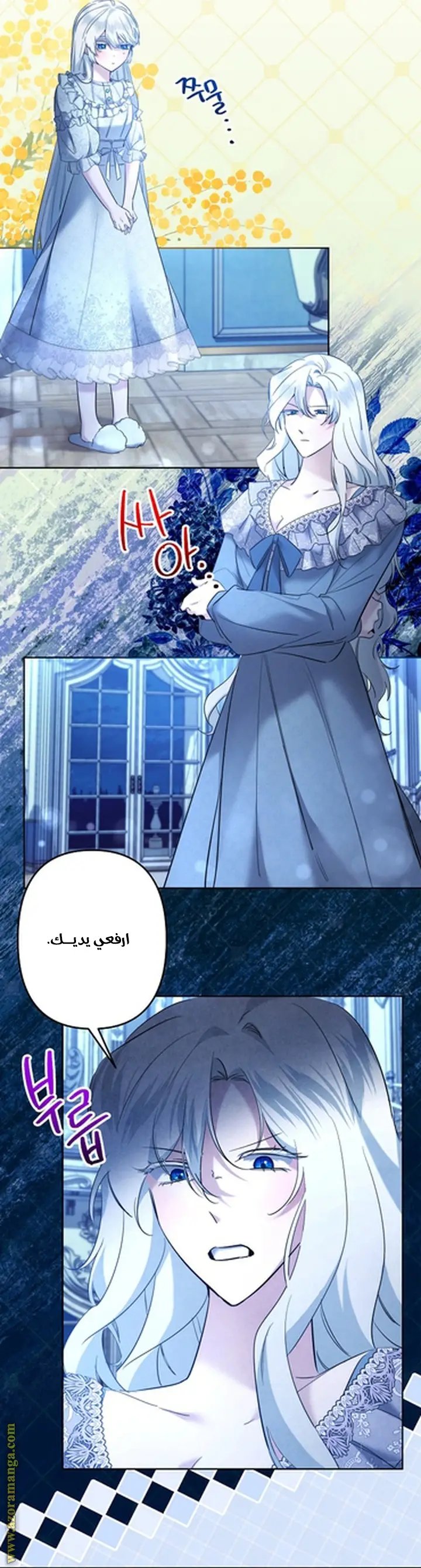 الصفحة 14