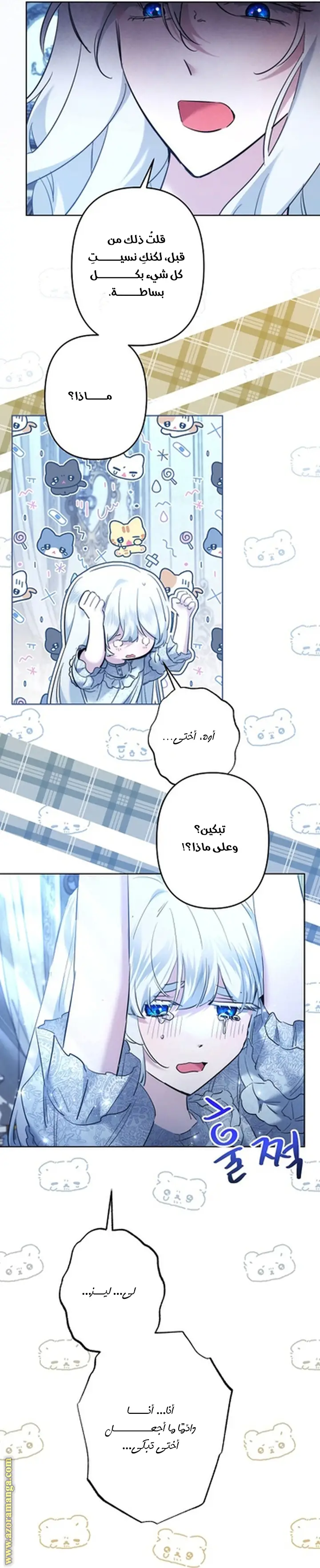 الصفحة 17