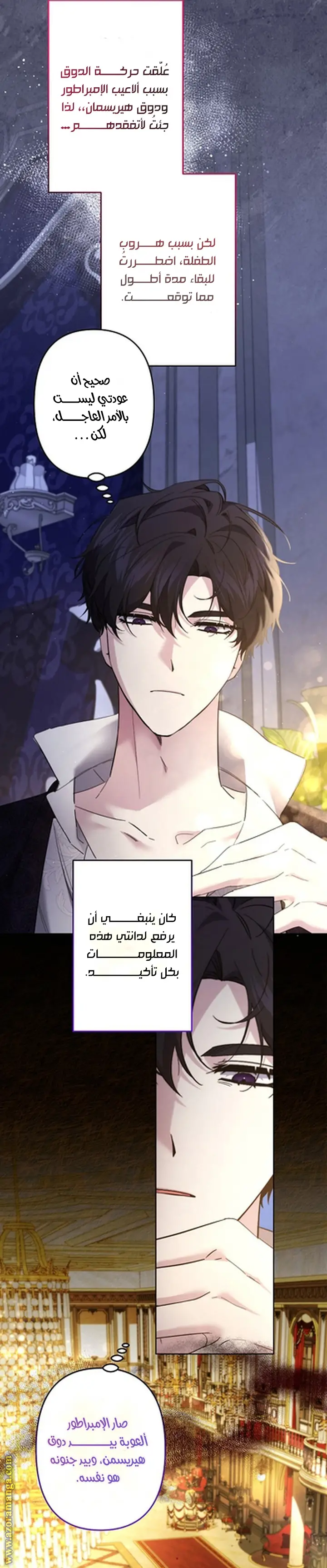 الصفحة 27