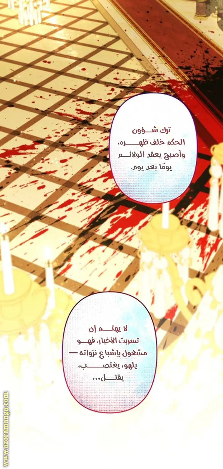 الصفحة 28