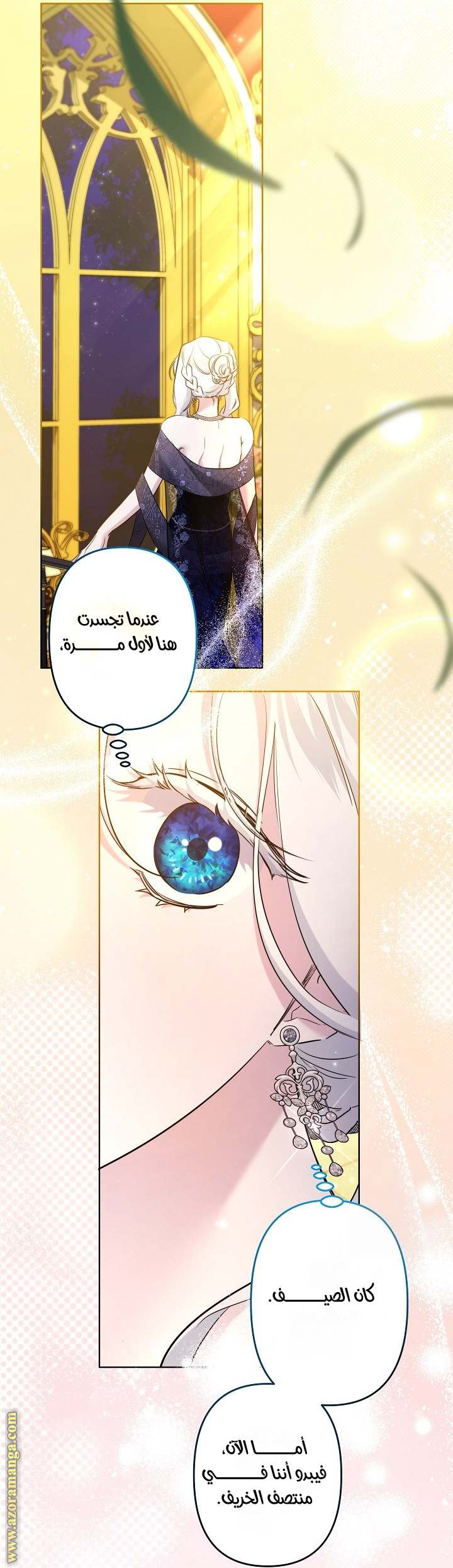 الصفحة 13