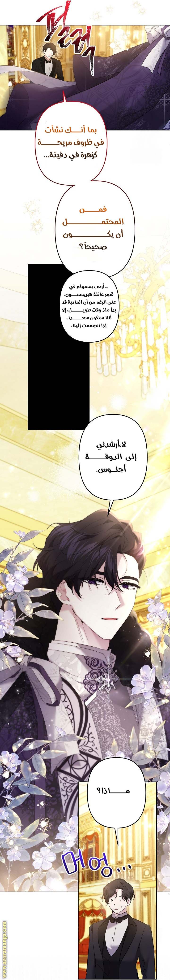 الصفحة 24