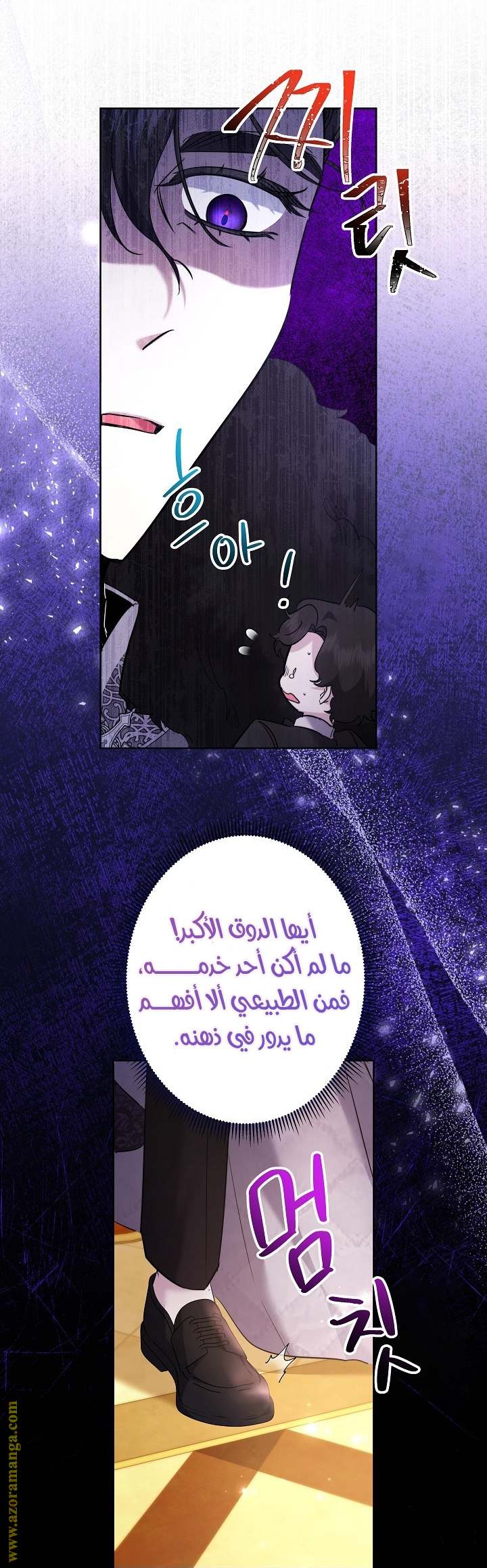 الصفحة 25