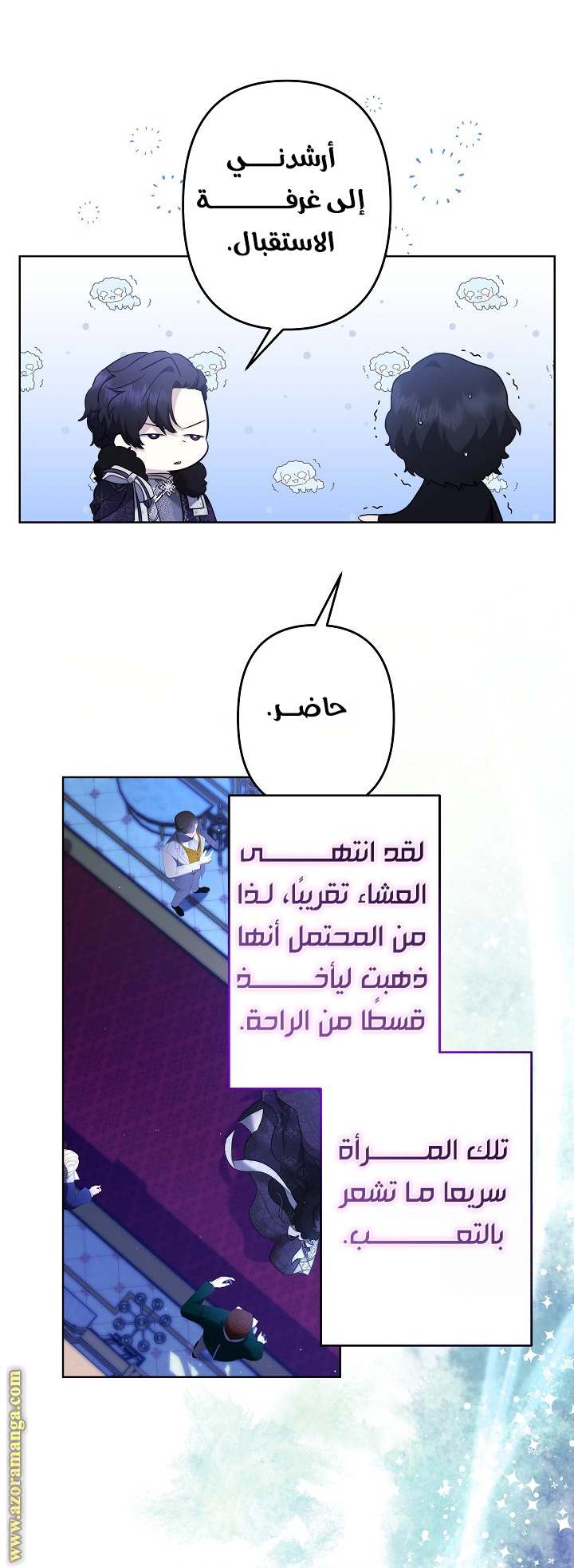 الصفحة 27