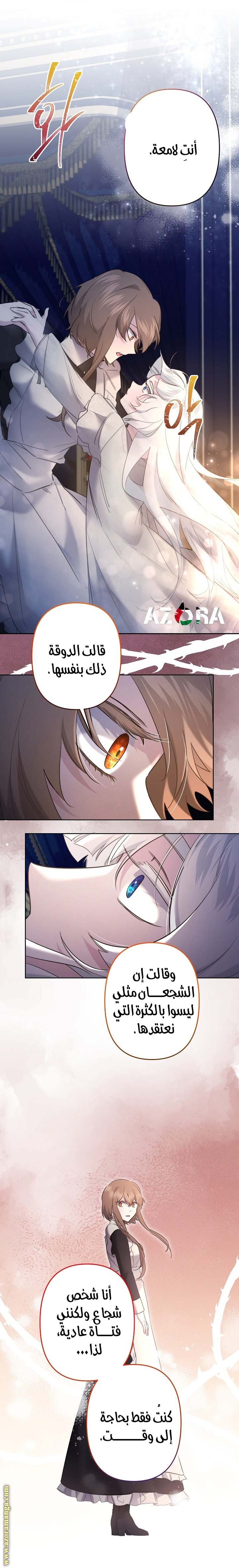 الصفحة 13