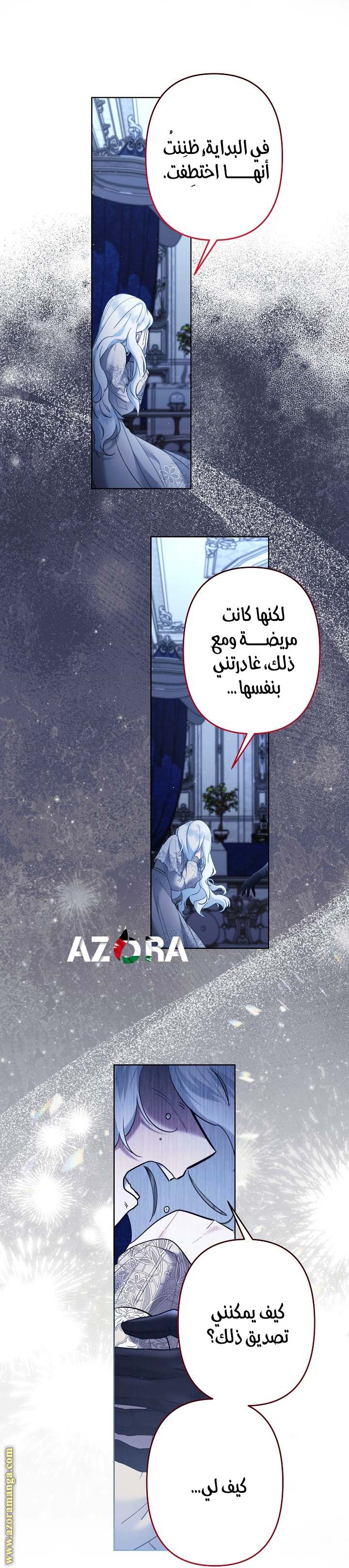 الصفحة 17