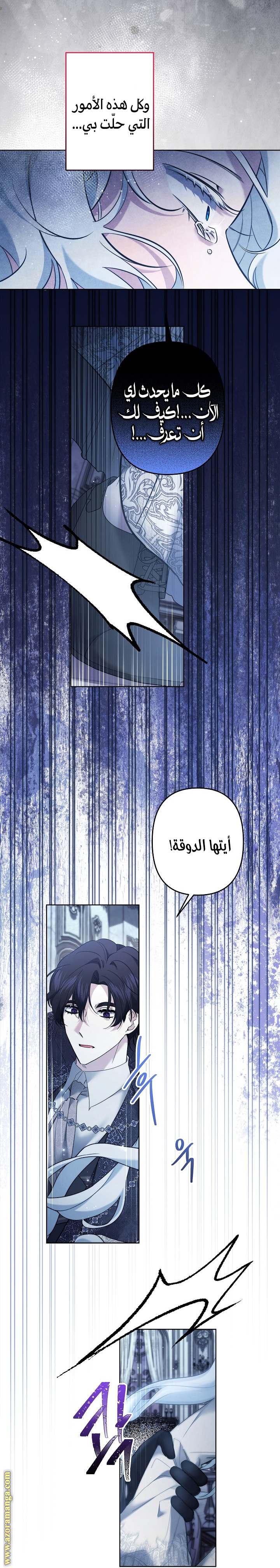 الصفحة 21
