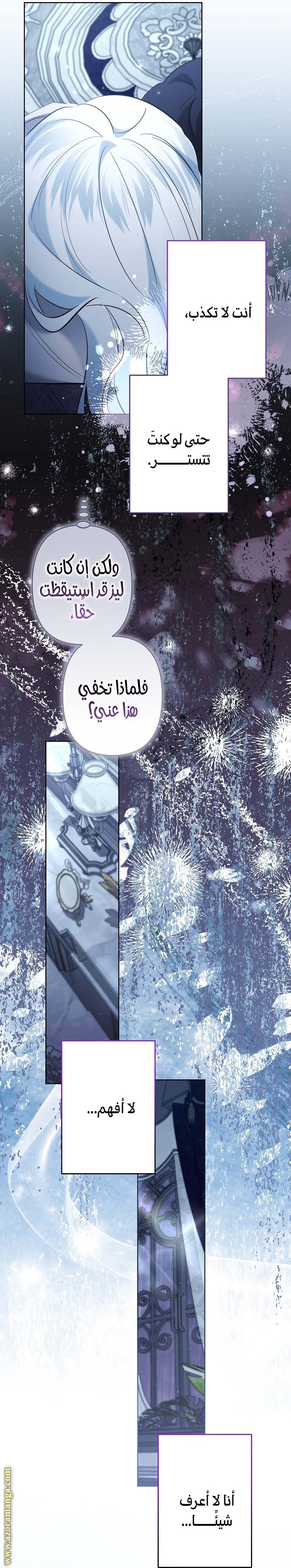 الصفحة 26