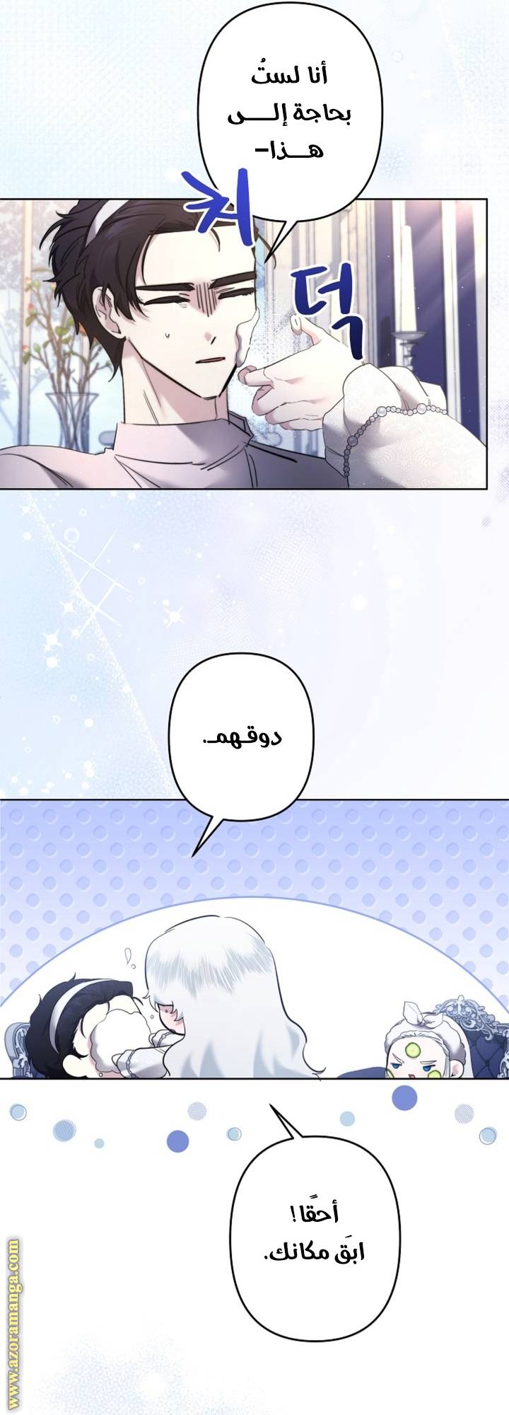الصفحة 17