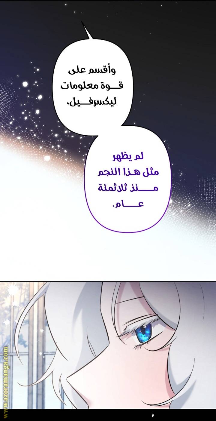 الصفحة 41