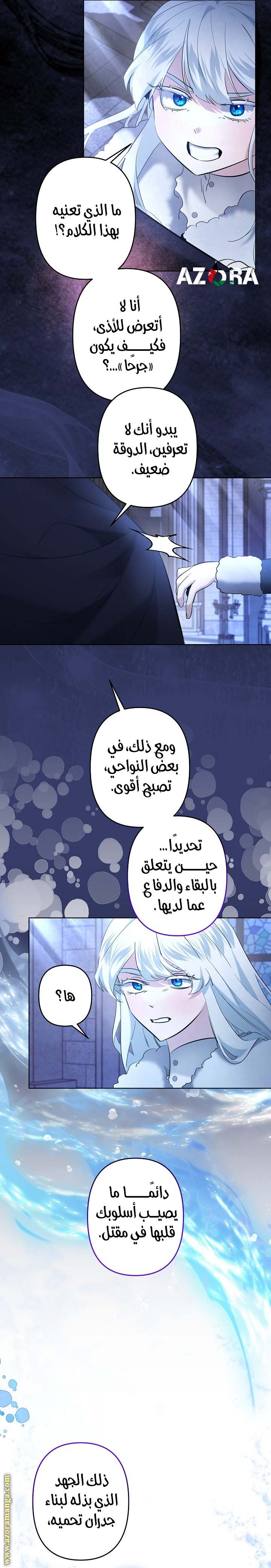 الصفحة 13