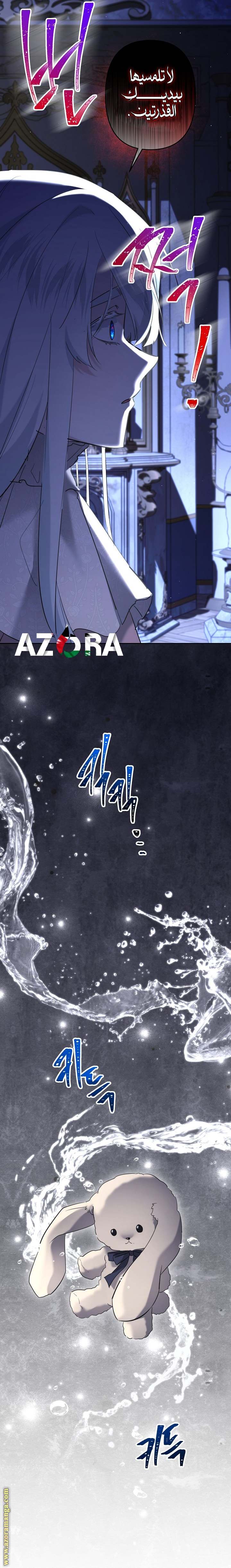 الصفحة 19