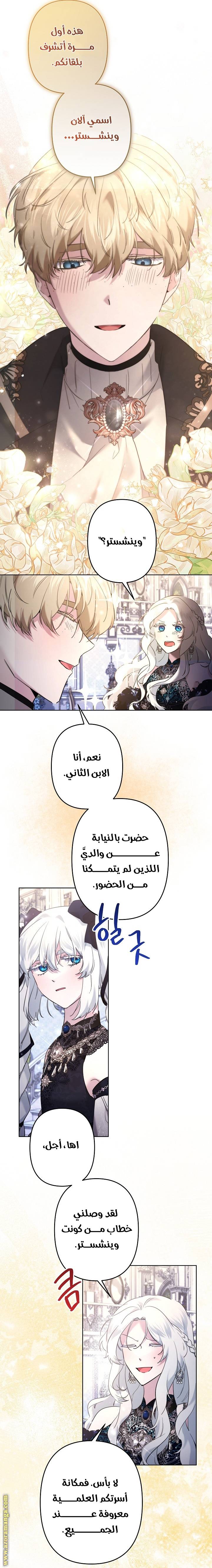 الصفحة 13