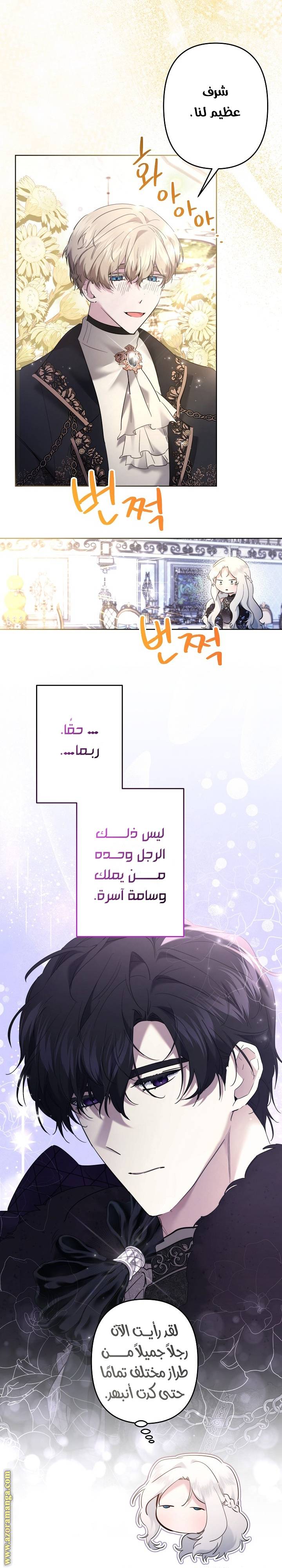 الصفحة 14