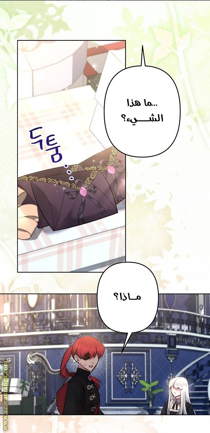 الصفحة 11