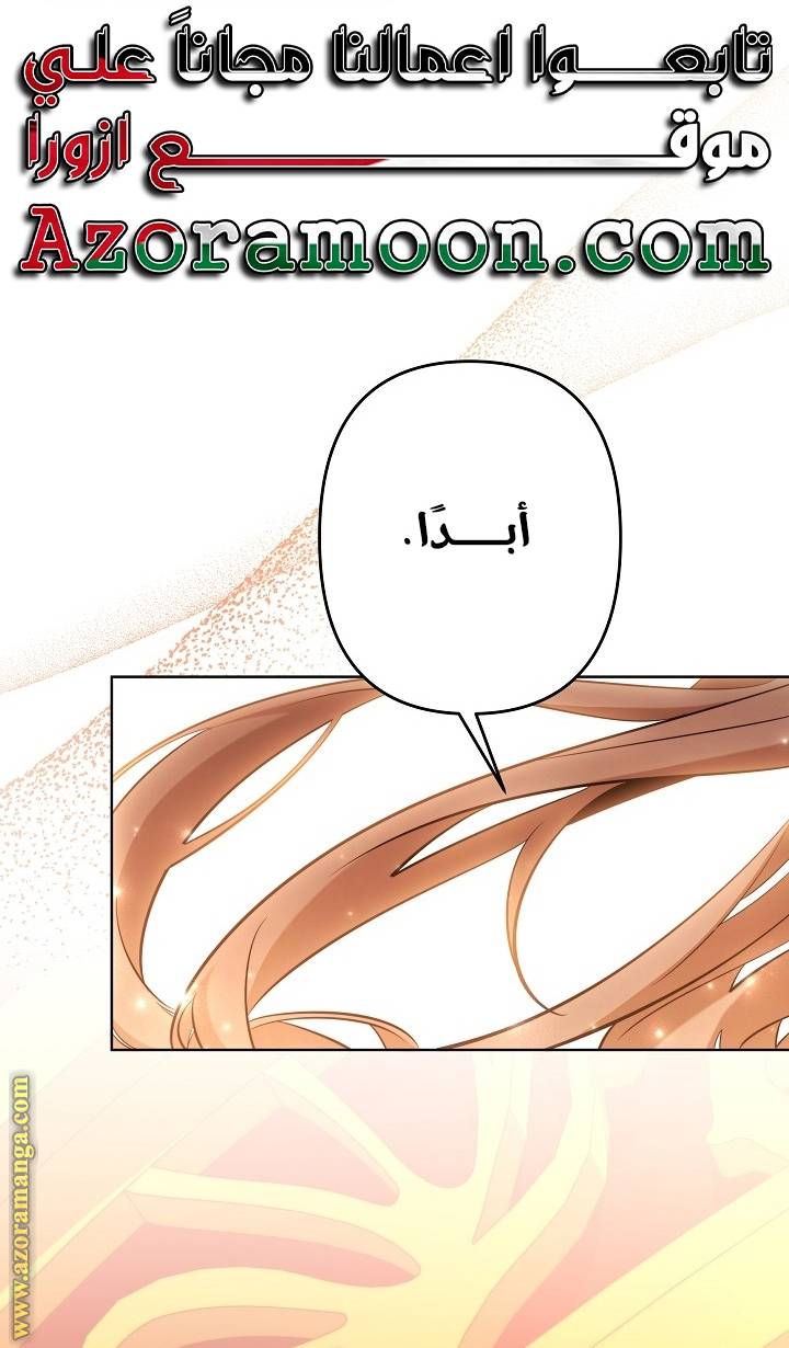 الصفحة 25