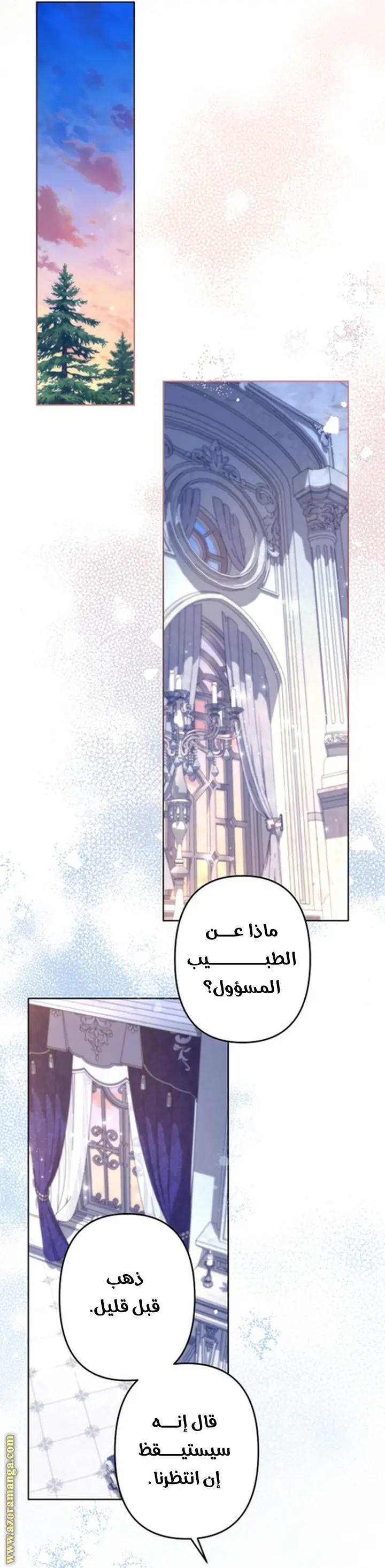 الصفحة 13