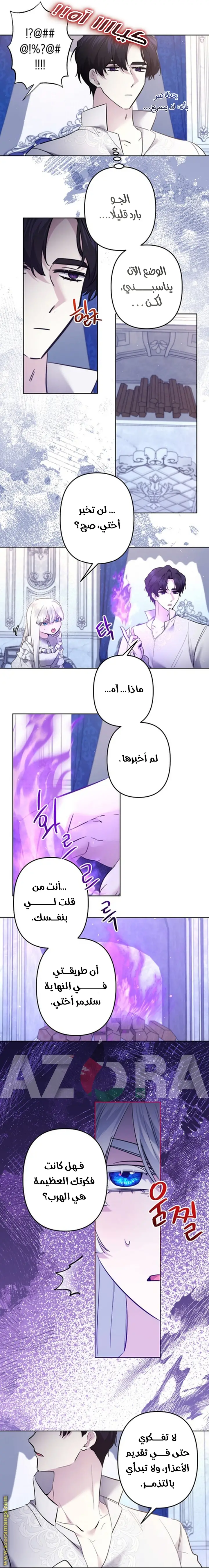 الصفحة 17