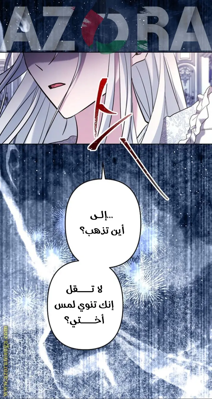 الصفحة 24