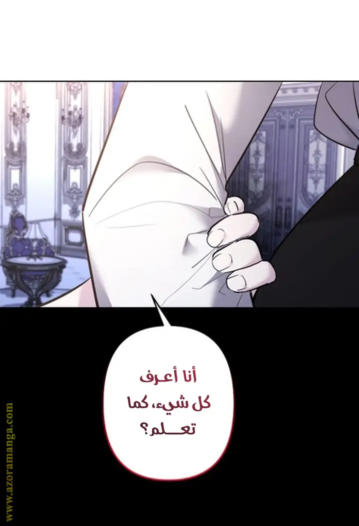 الصفحة 27