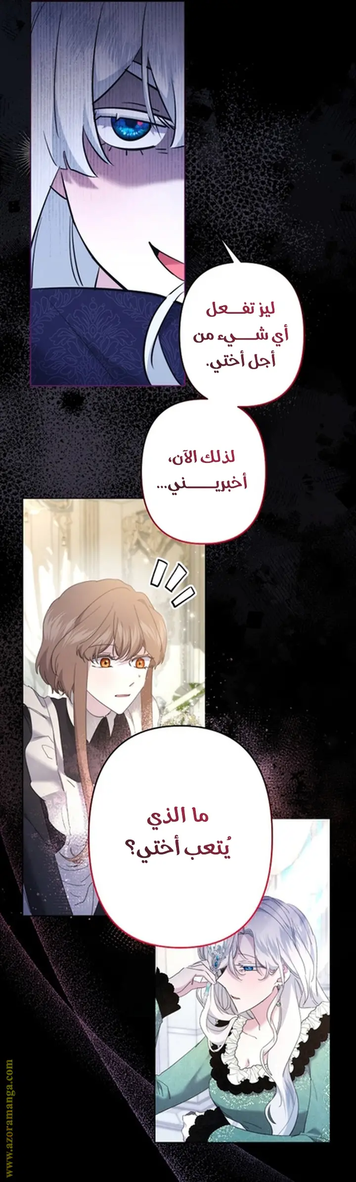 الصفحة 29