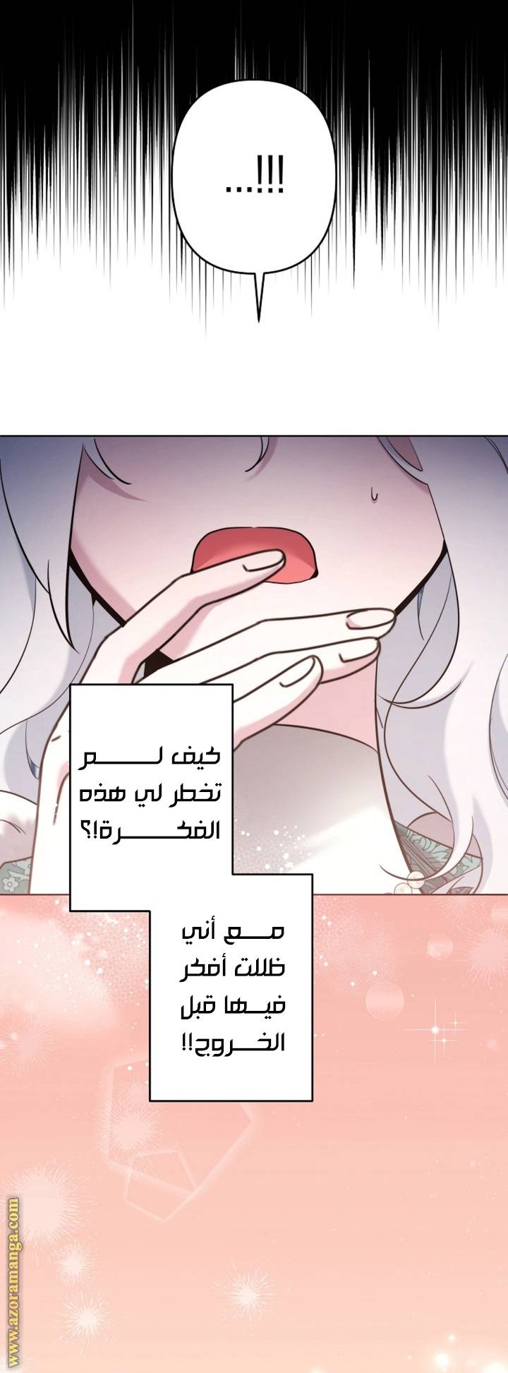 الصفحة 19