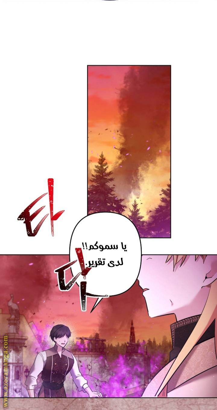 الصفحة 22