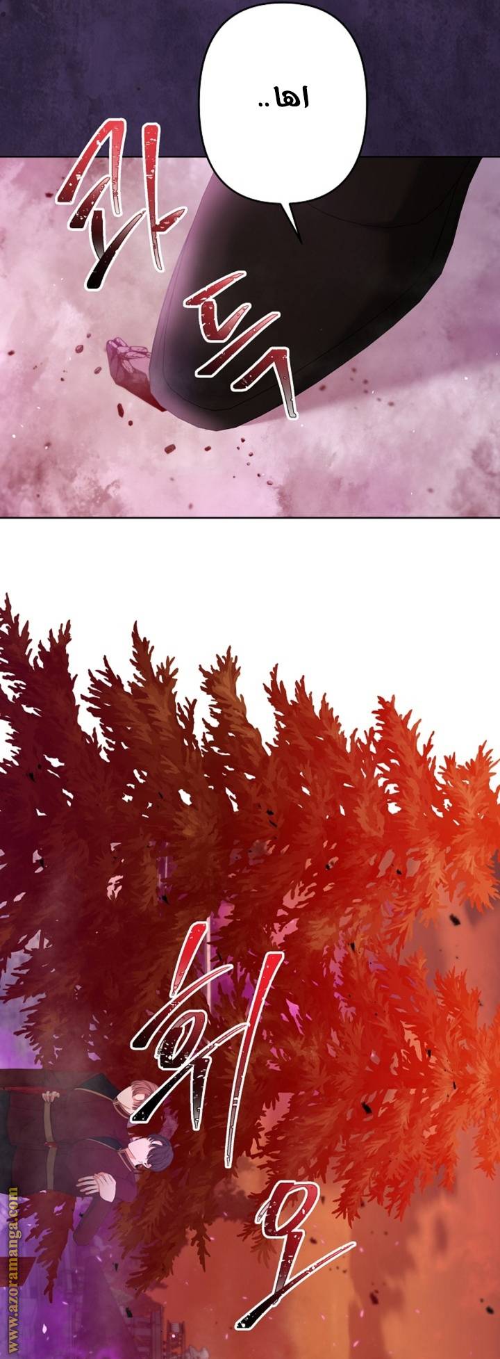 الصفحة 25