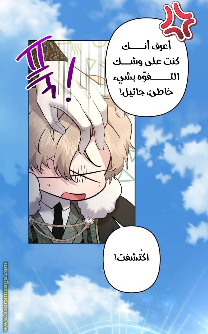 الصفحة 41