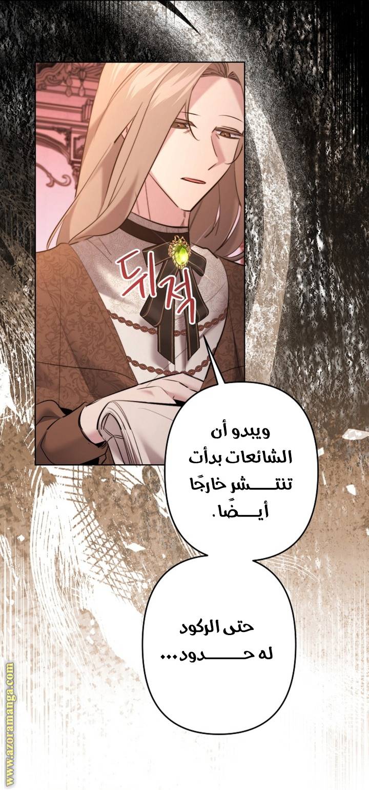 الصفحة 29