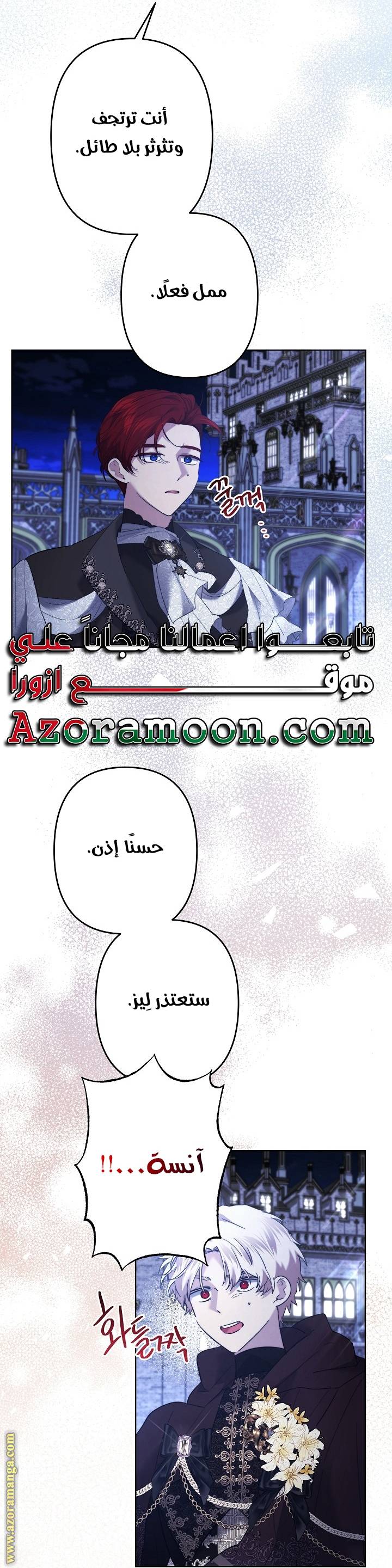 الصفحة 19