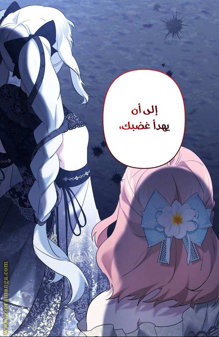 الصفحة 27