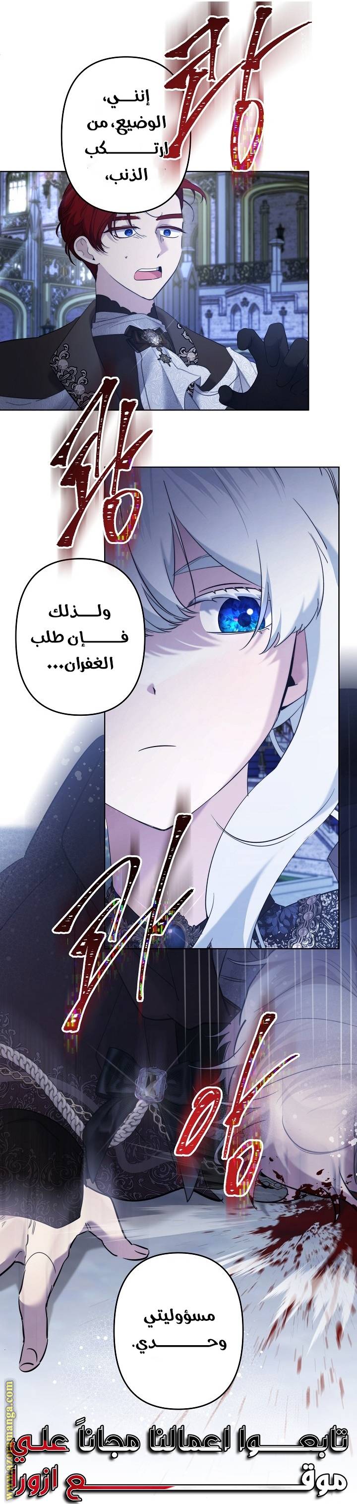 الصفحة 29