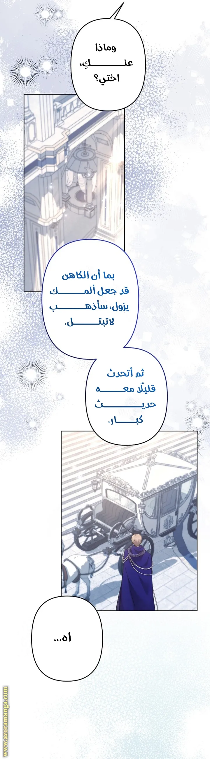 الصفحة 13