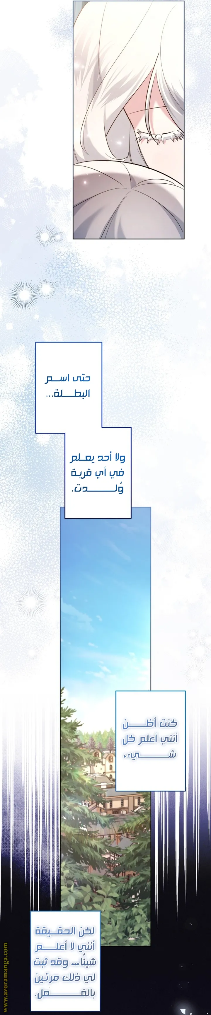 الصفحة 27