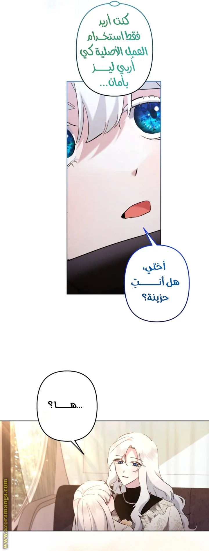 الصفحة 29