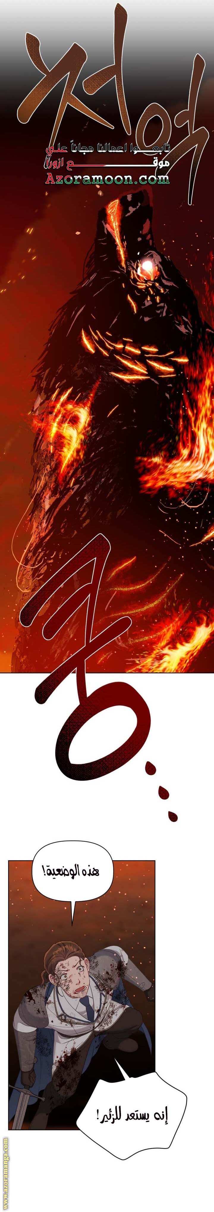 الصفحة 17