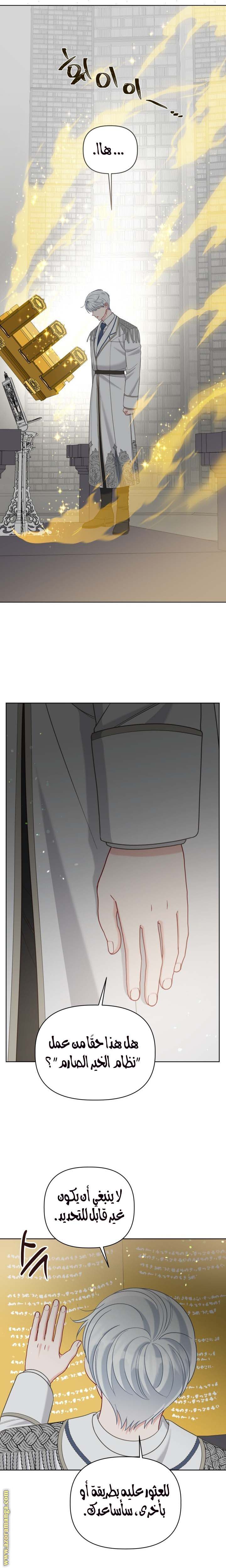 الصفحة 17