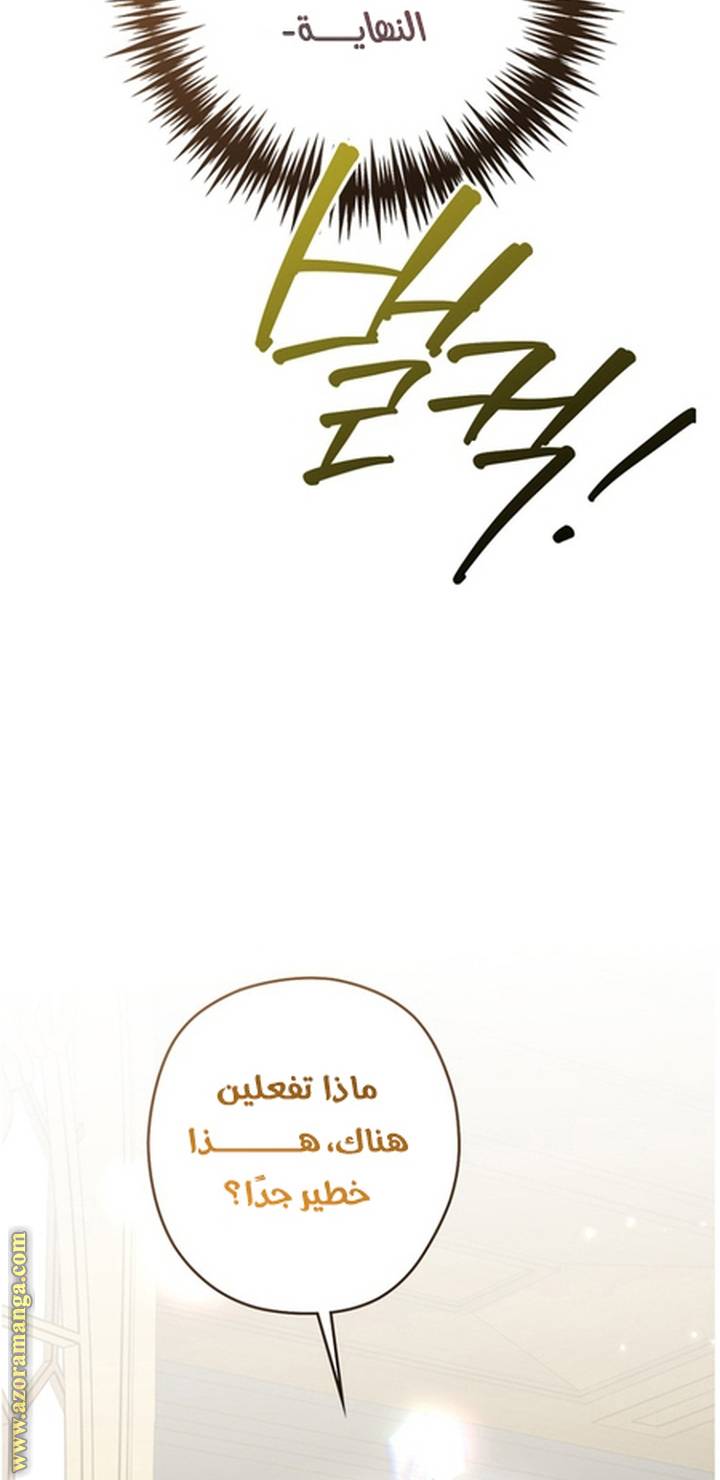 الصفحة 21