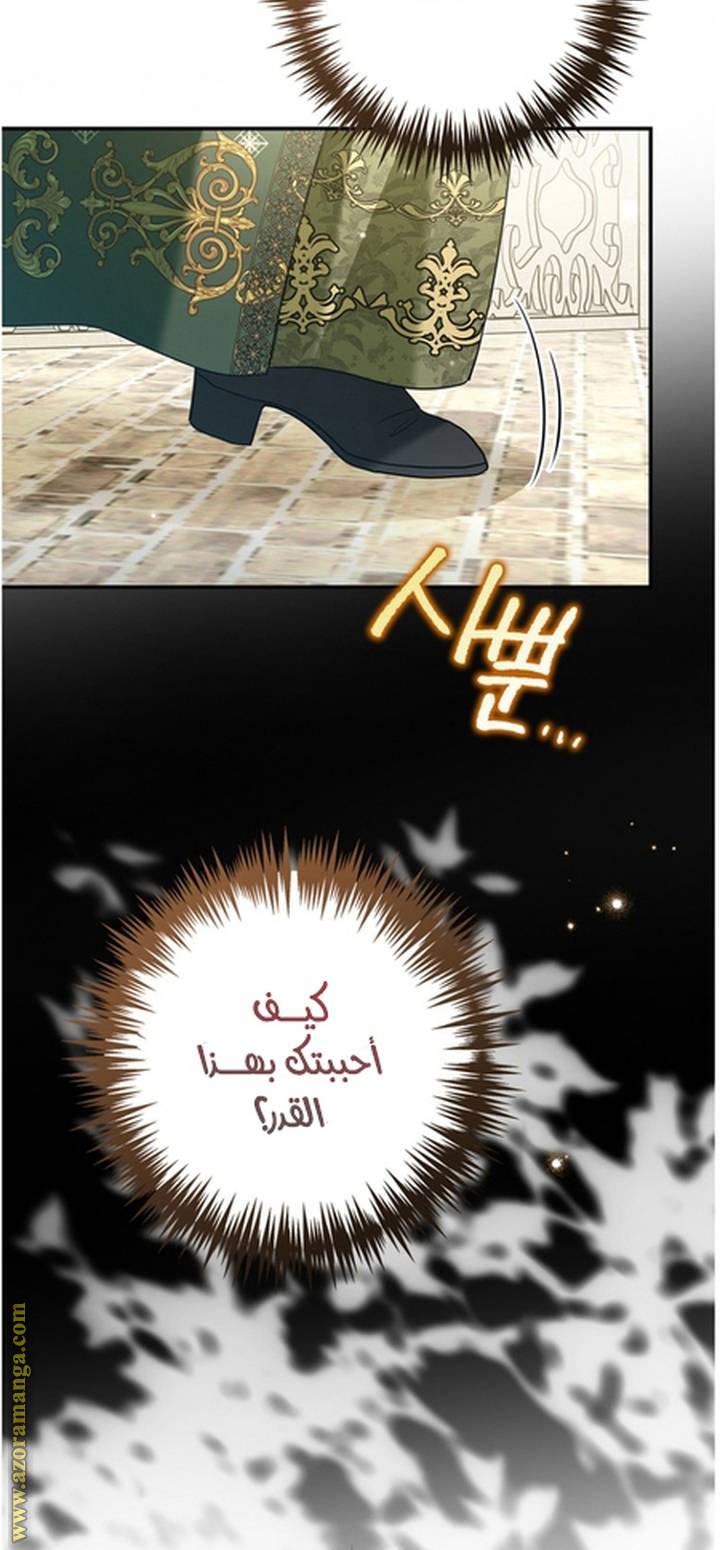 الصفحة 25