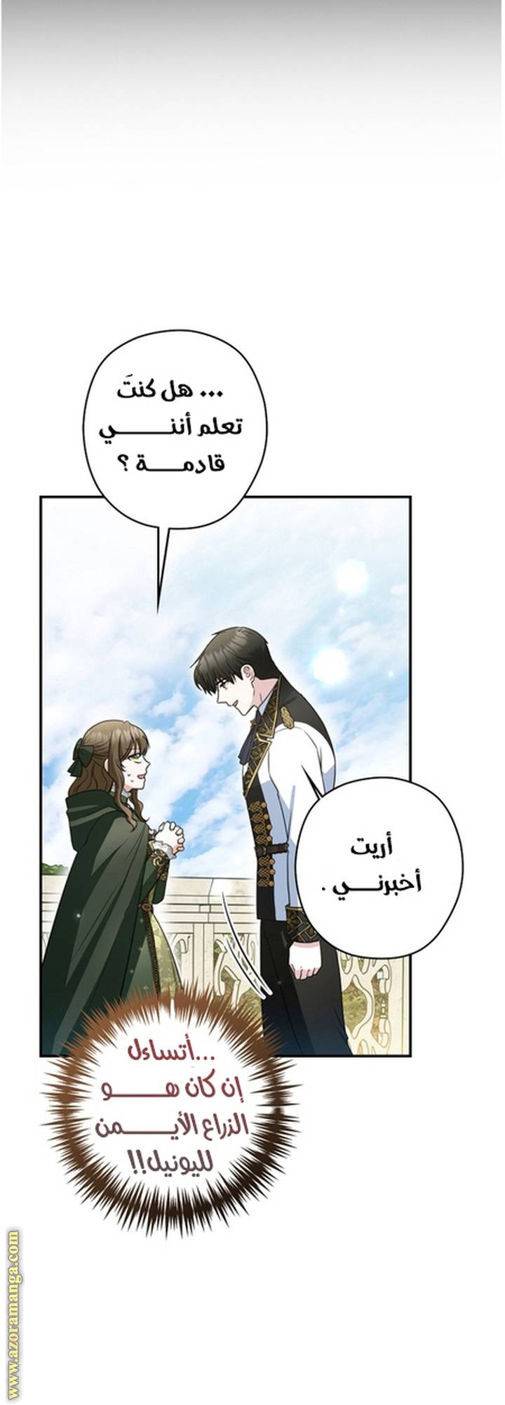 الصفحة 28