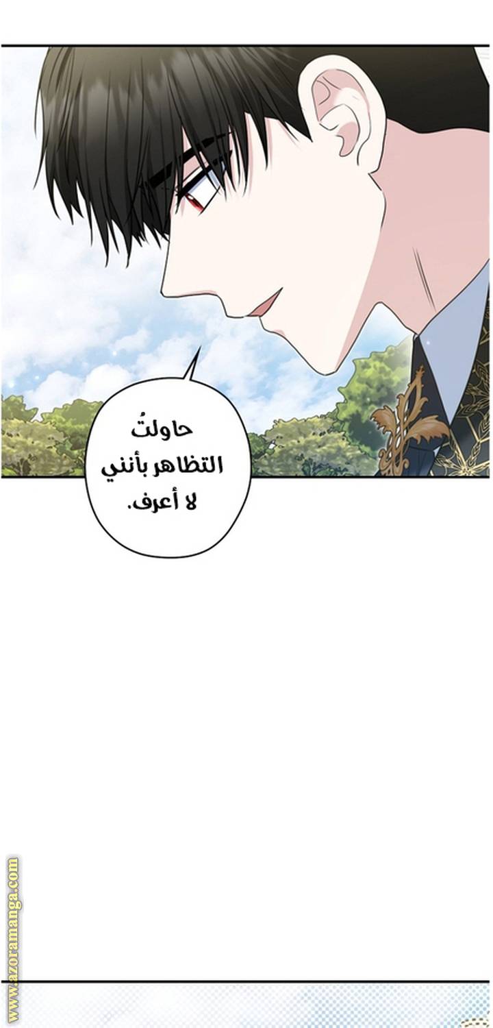 الصفحة 29