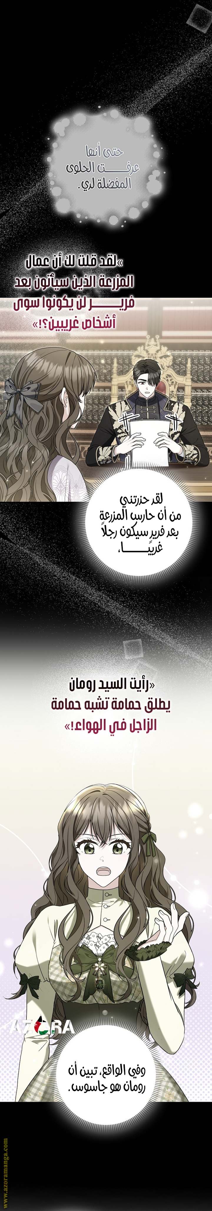 الصفحة 13