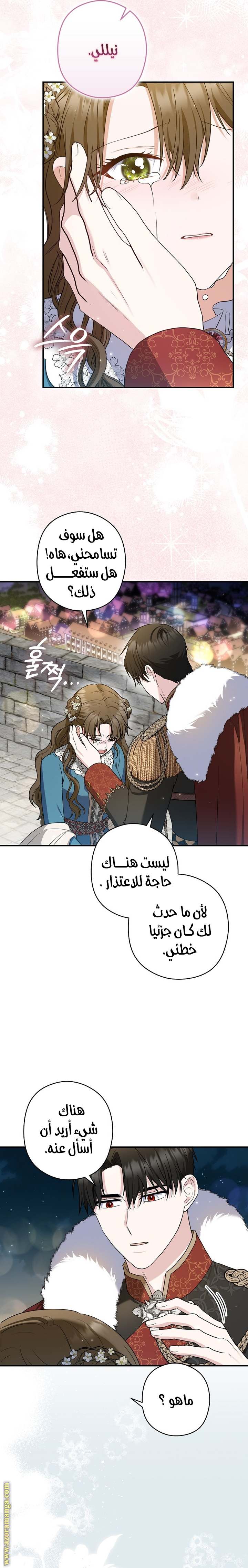 الصفحة 26