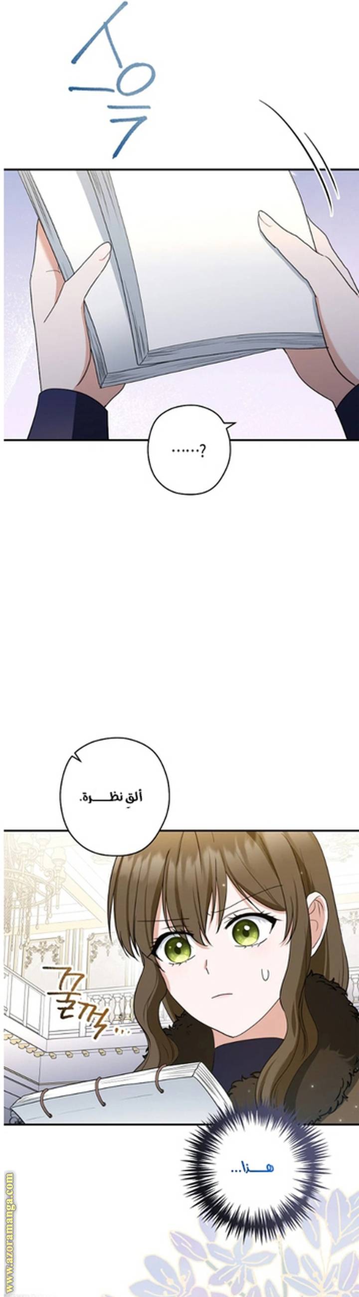 الصفحة 16